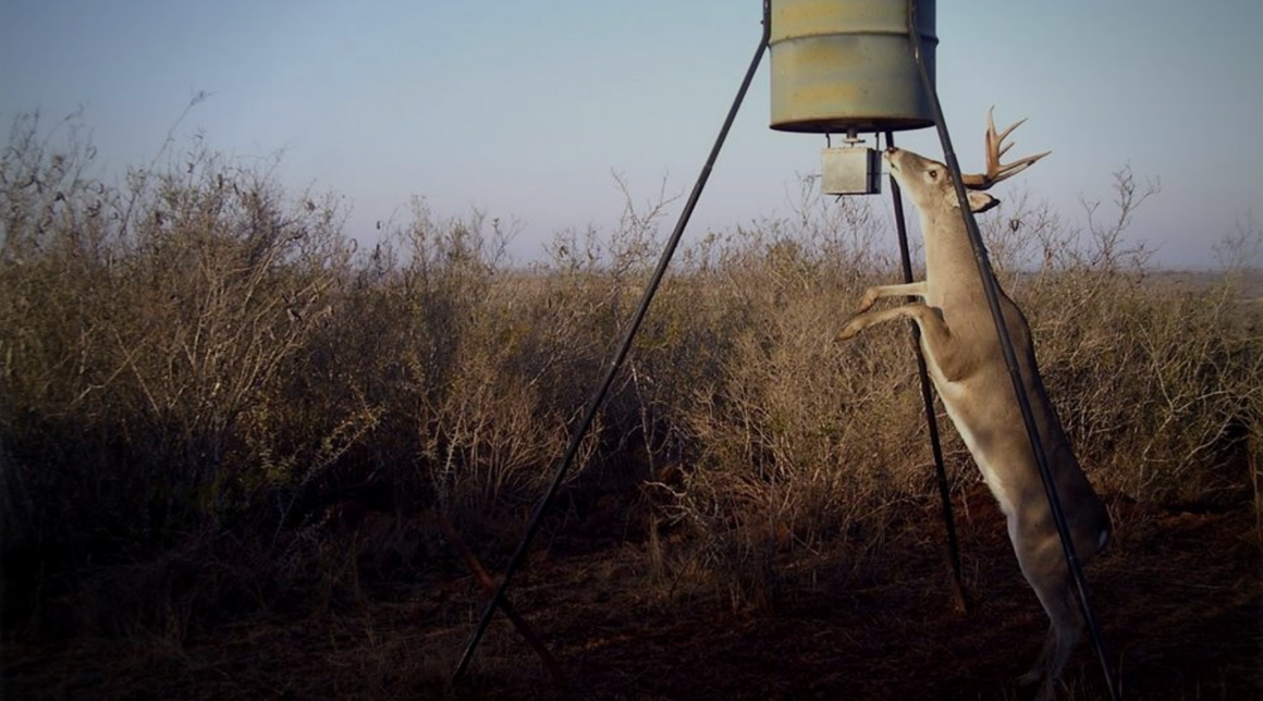 2021 Hunting Selections