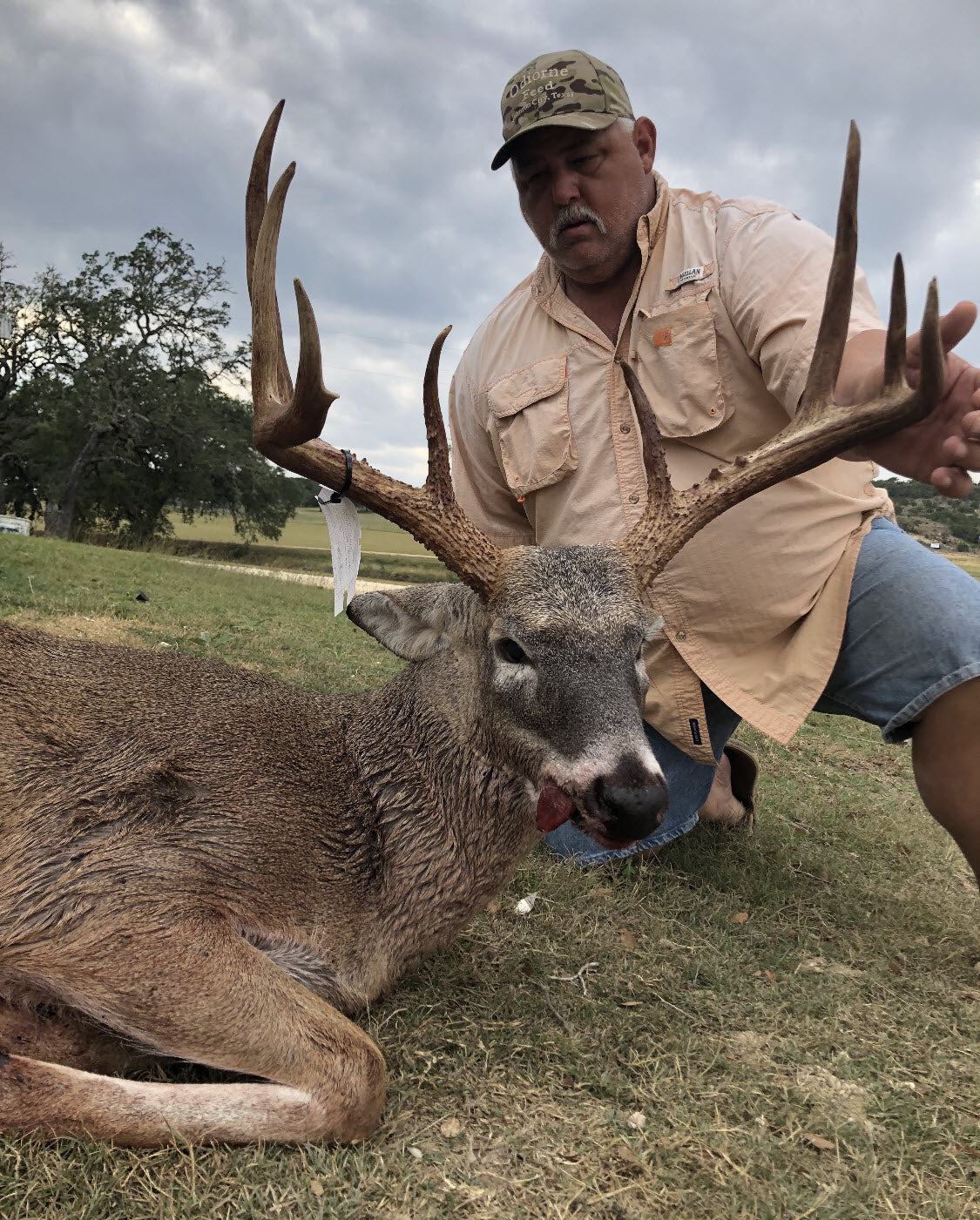 Orange Corn Company LHR -2