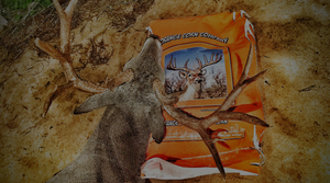 Realtree Orange Corn Feeder Mix White Bucket - TREATS 1800 LBS -  FREE SHIPPING AVAILABLE